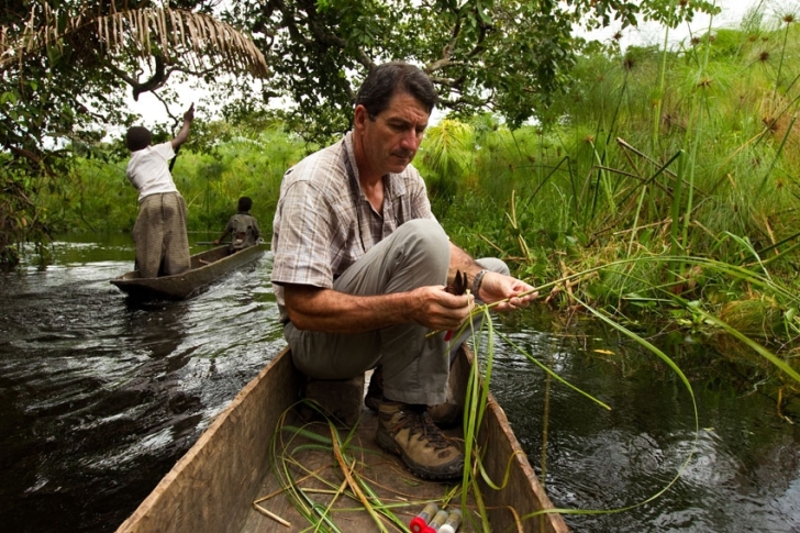 Freshwater biodiversity in the Congo basin | The Freshwater Blog
