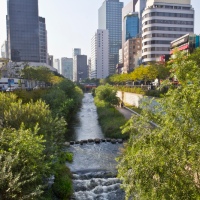 Daylighting Urban Rivers