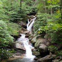 Nutrient pollution can harm stream ecosystems in previous unknown ways
