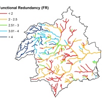 Functional redundancy and how river ecosystems respond to stress