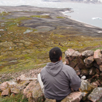 Small birds, big effects: the little auk transforms high Arctic ecosystems