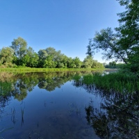 Large river restoration under the spotlight along the banks of the Tisza River